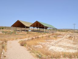 Yacimiento de Villaricos 2012